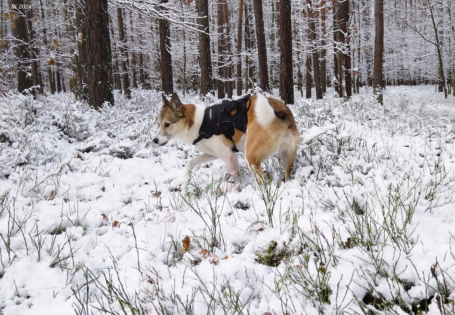 Ein Spaziergang.....