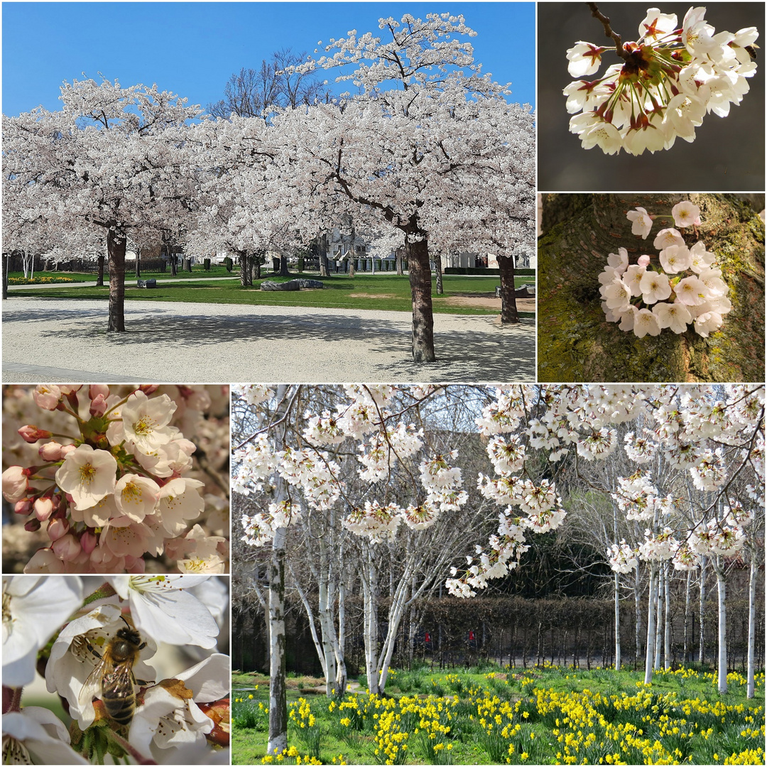 Ein Spaziergang Foto & Bild landschaft, jahreszeiten, garten