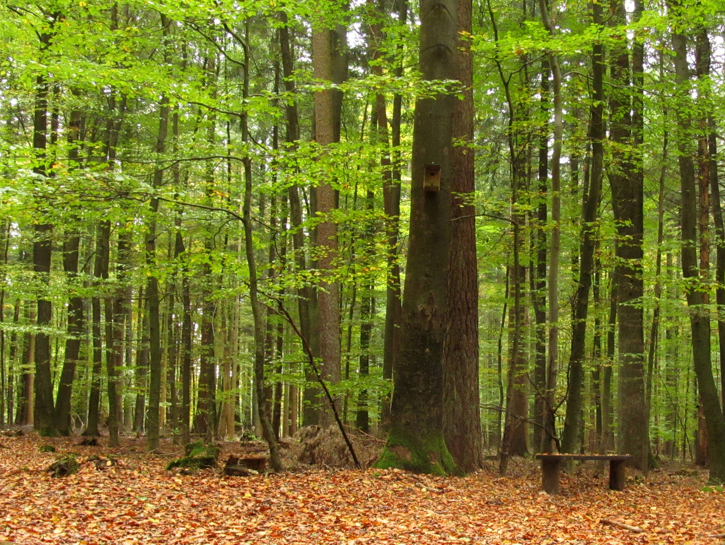 ein Spaziergang ....