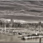 Ein Spaziergang am Hafen, der Rhein füllt sich und Mole steigt ...