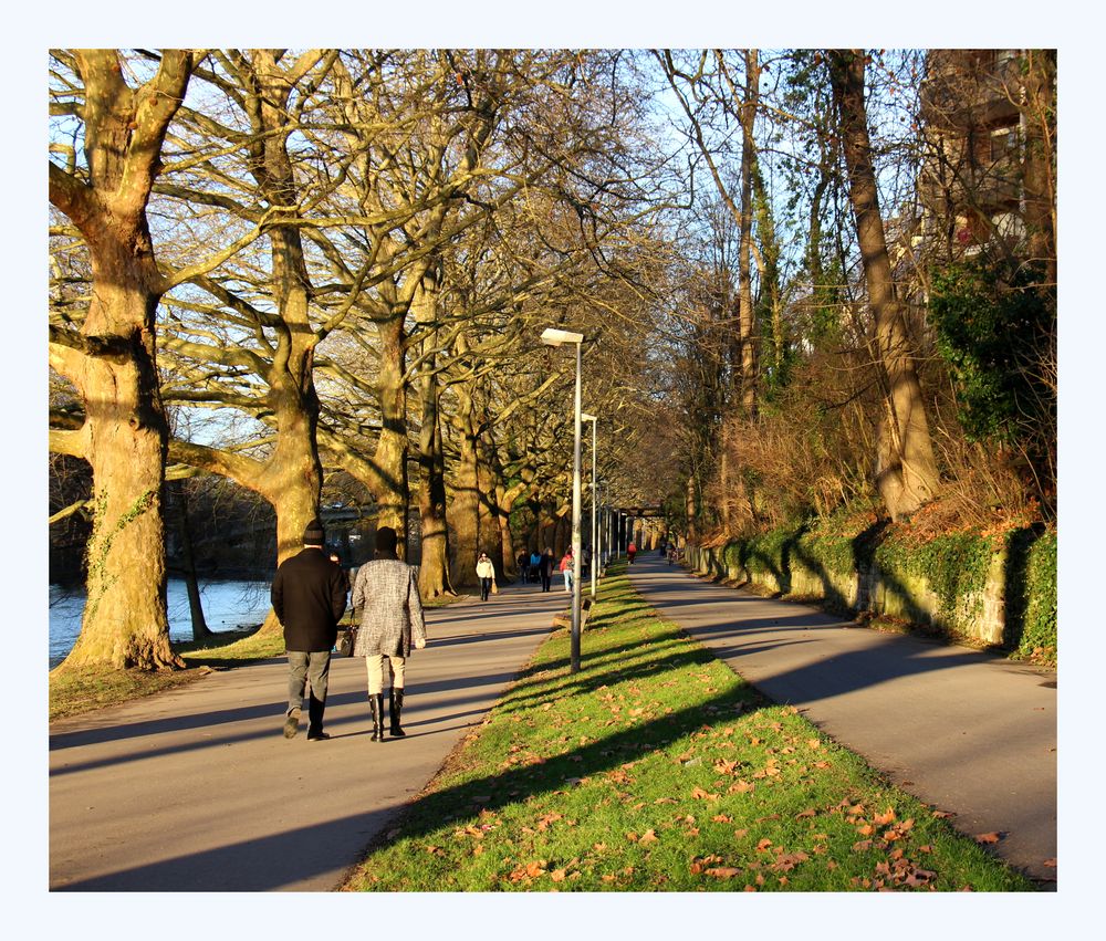 Ein Spaziergang am Neckar