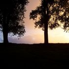 Ein Spaziergang am Rhein