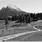 ein Spaziergang auf der Seiseralm