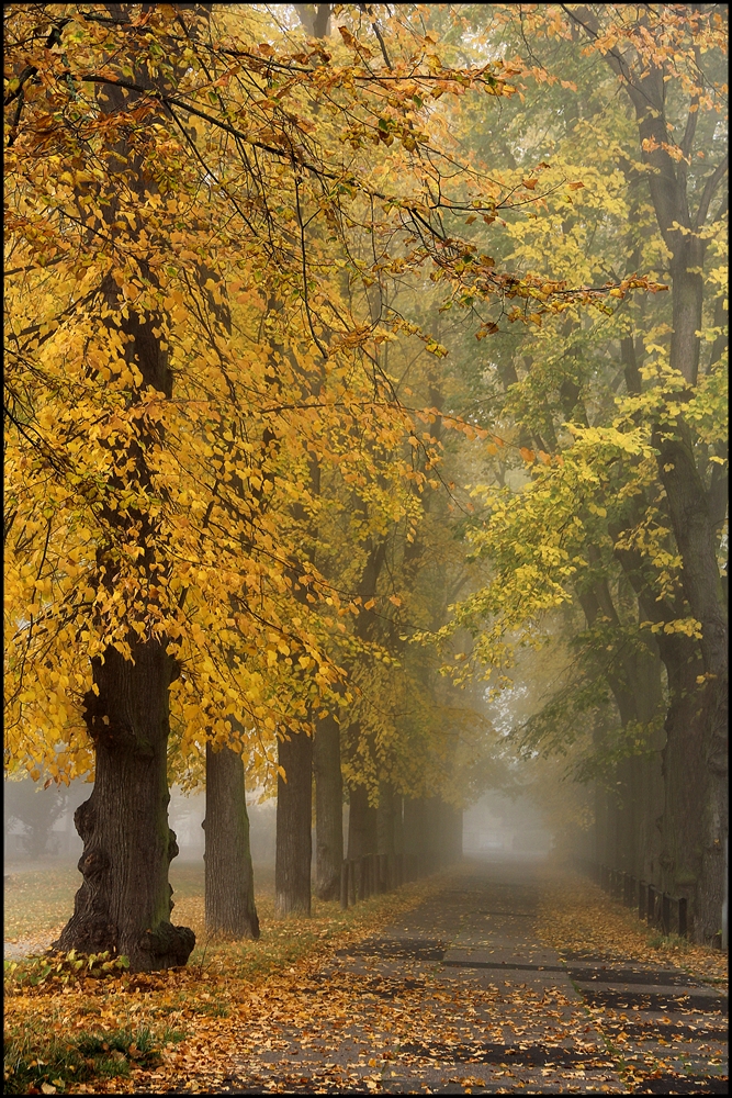 Ein Spaziergang ...