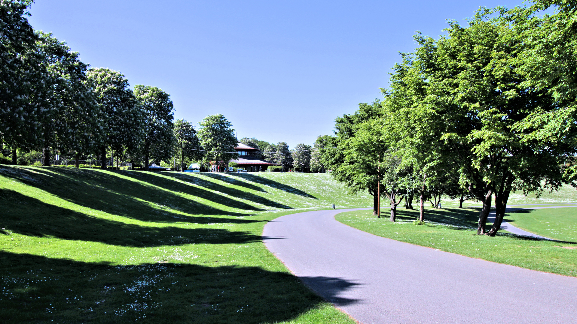 ein Spaziergang durch die Bonner Rheinaue (3)