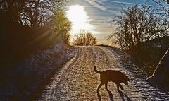 Ein Spaziergang geht zu Ende