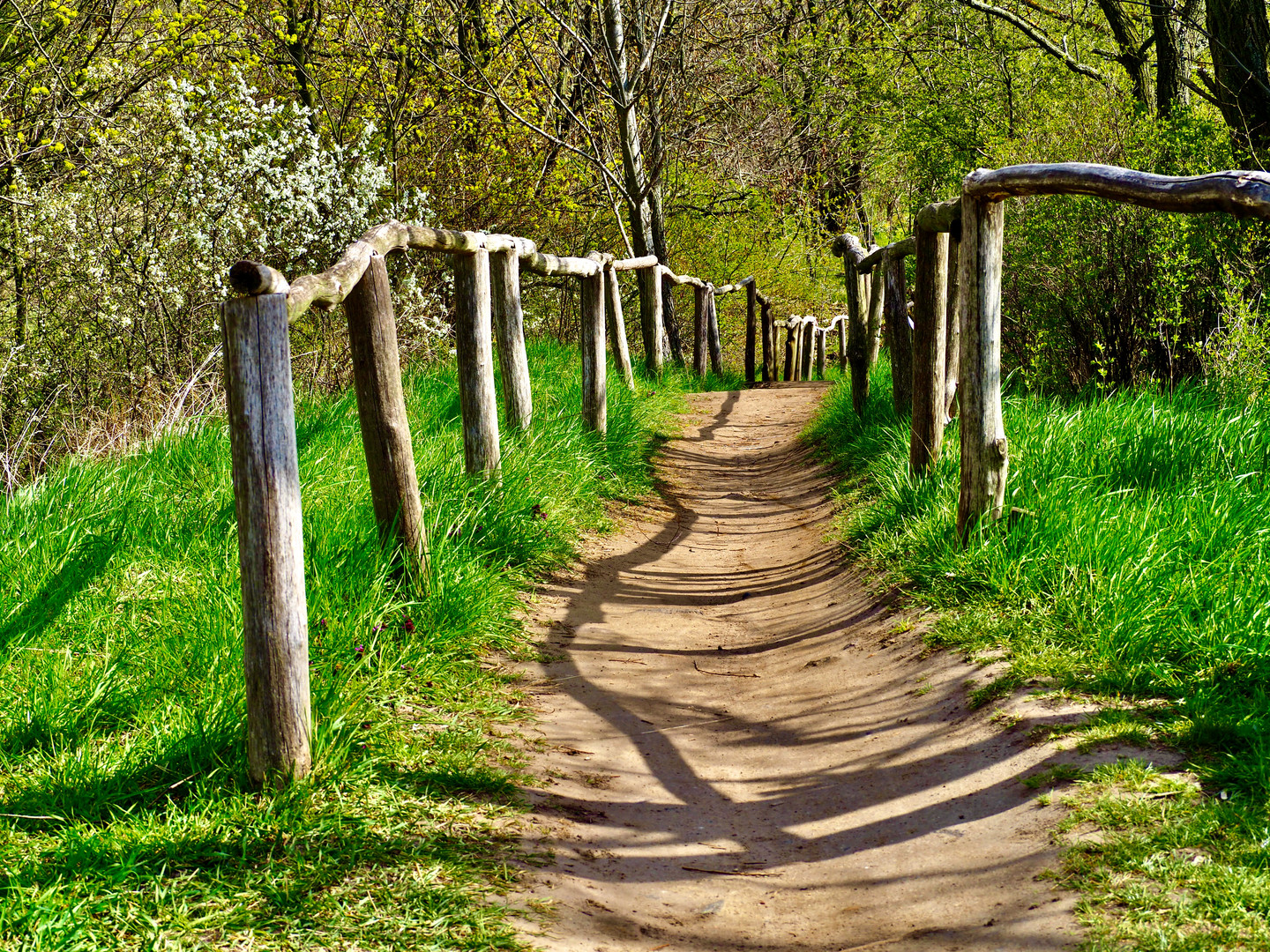 ein Spaziergang im Frühling