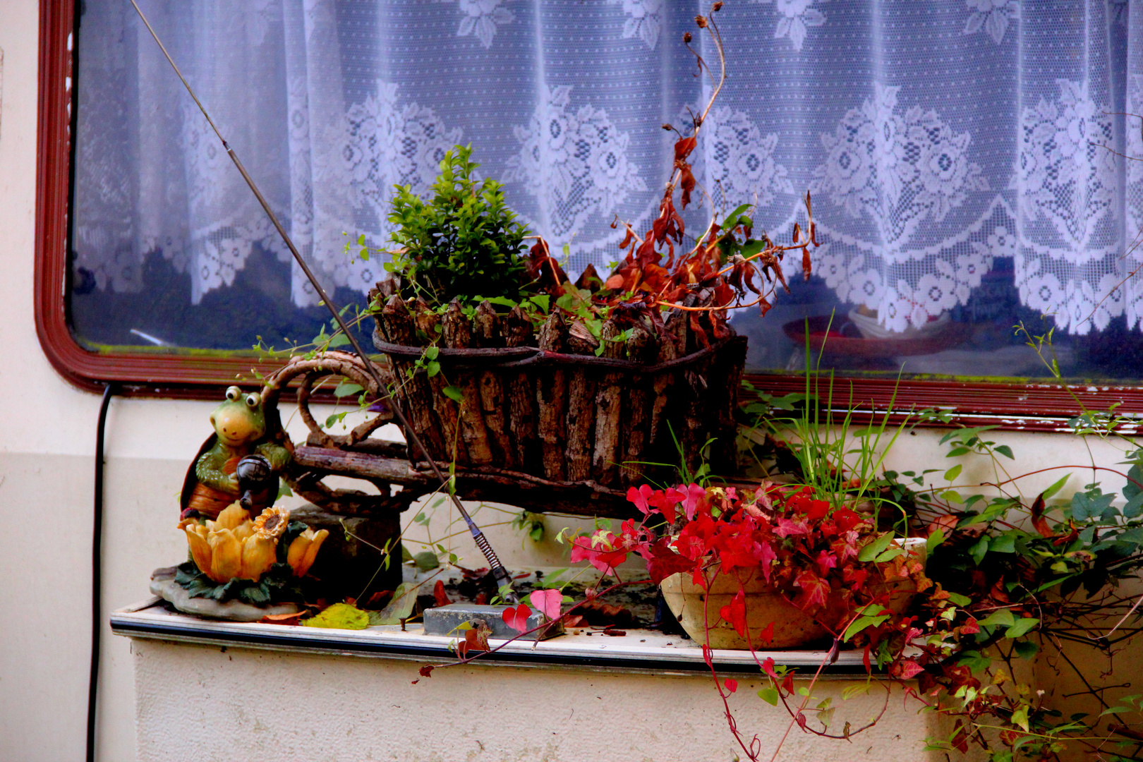 Ein Spaziergang im Garten