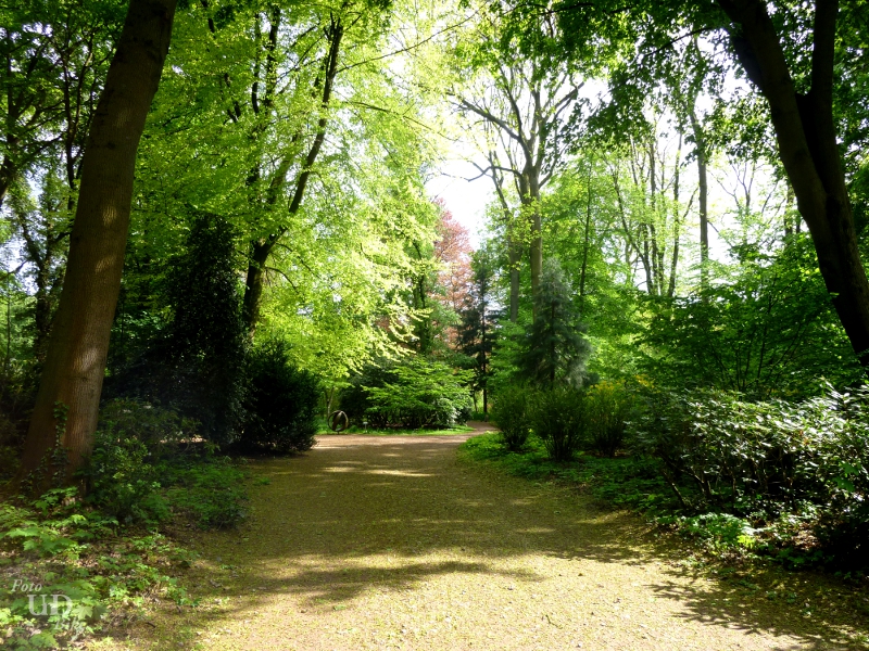 Ein Spaziergang im Grünen, - oder der Weg ist das Ziel -