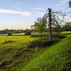 Ein Spaziergang im Herbst