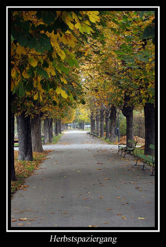 Ein Spaziergang im Herbst