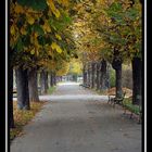 Ein Spaziergang im Herbst