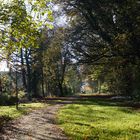 Ein Spaziergang im Herbst