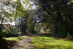 Ein Spaziergang im Herbst