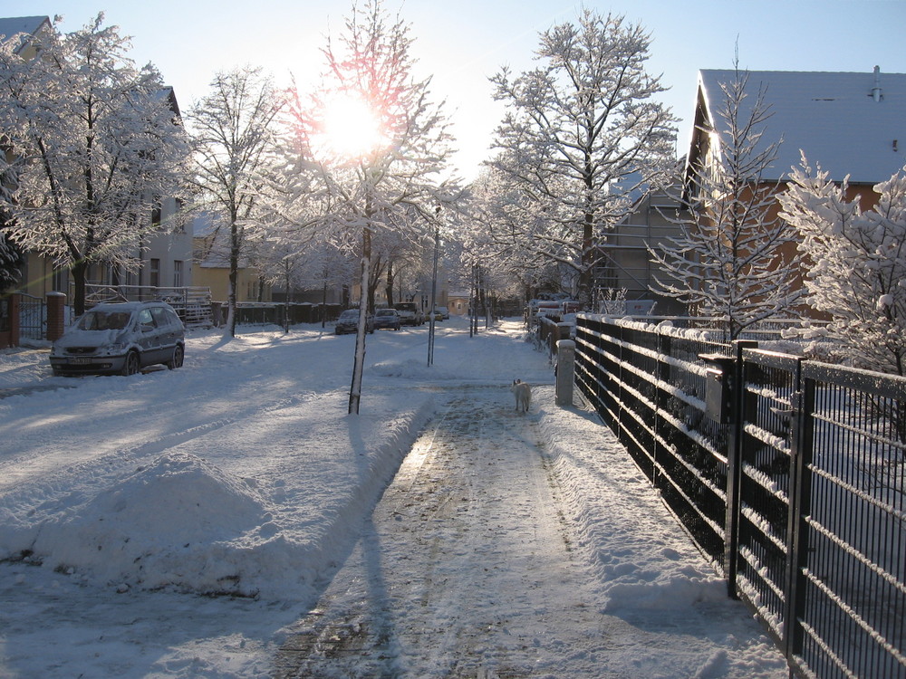 Ein Spaziergang im Januar 2009