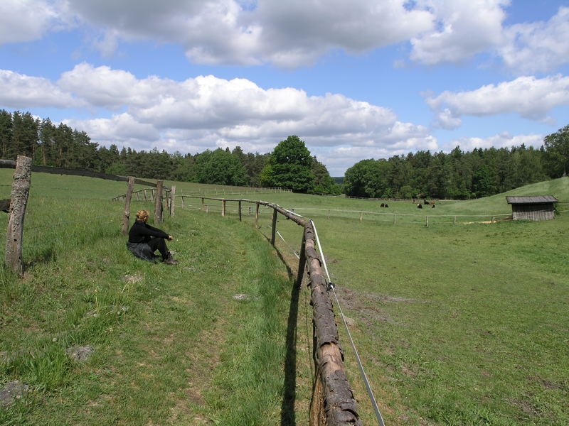 Ein Spaziergang im Mai