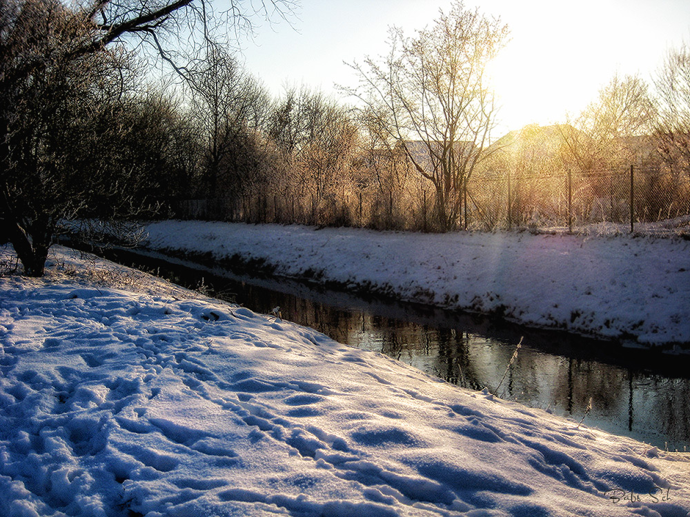 Ein Spaziergang im Schnee