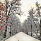 Ein Spaziergang im Schnee