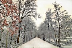 Ein Spaziergang im Schnee