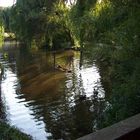 Ein Spaziergang in Deidesheim an der Weinstrasse