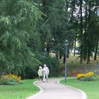 Ein Spaziergang in der Natur ( ein Langer Weg )