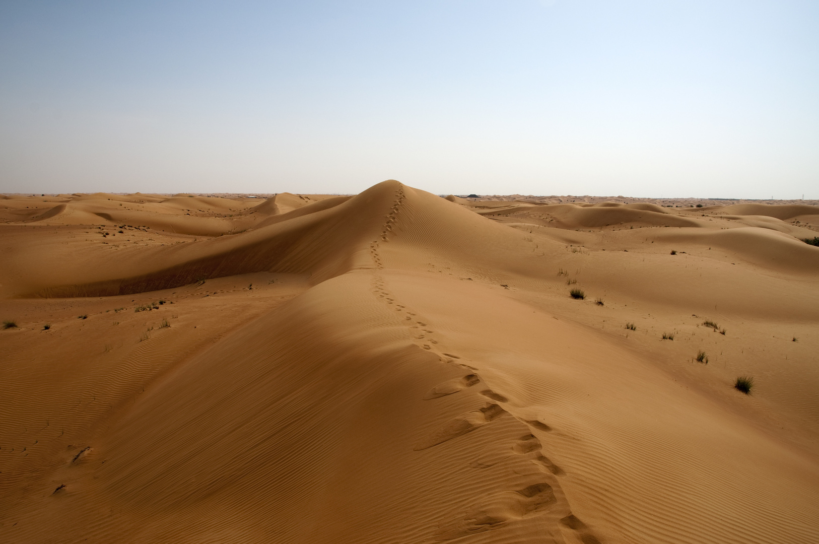 Ein spaziergang in der Wüste