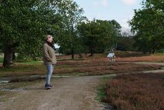 Ein Spaziergang mit Kerstin in der Behringer Heide am 11.09.2017