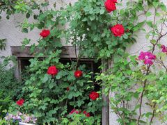 ein speziell geschmücktes Fenster