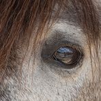 Ein (Spiegel)Augenblick