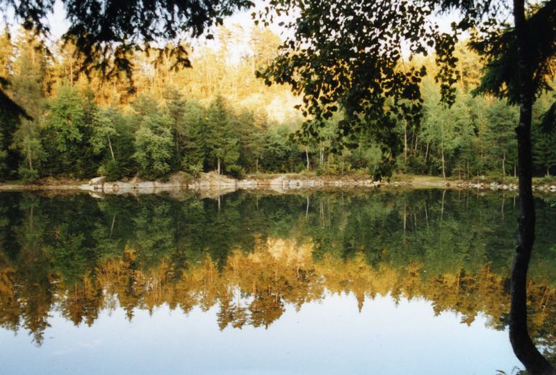 Ein Spiegelbild im Wasser