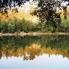 Ein Spiegelbild im Wasser