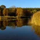 Ein spiegelglatter Herbsttag