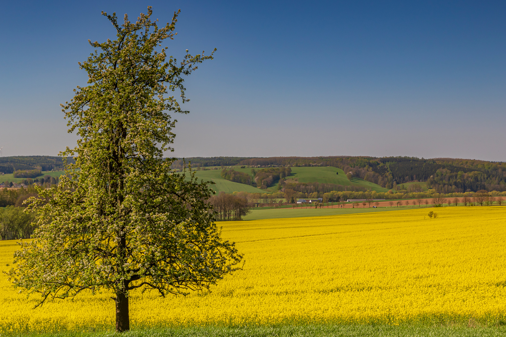 Ein Spiel der Farben!