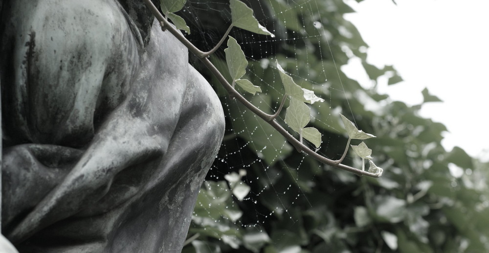 Ein Spiel Der Natur Foto Bild Architektur Friedhofe Engel Und Co Bilder Auf Fotocommunity