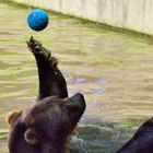 Ein Spitzenhandballer