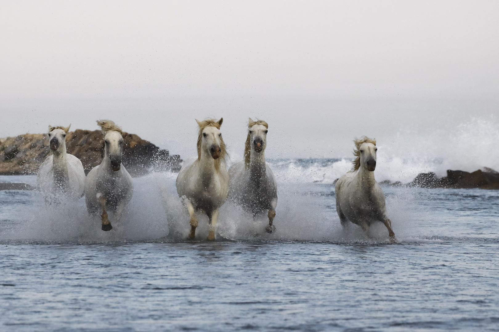 Ein Sprint im Meer!