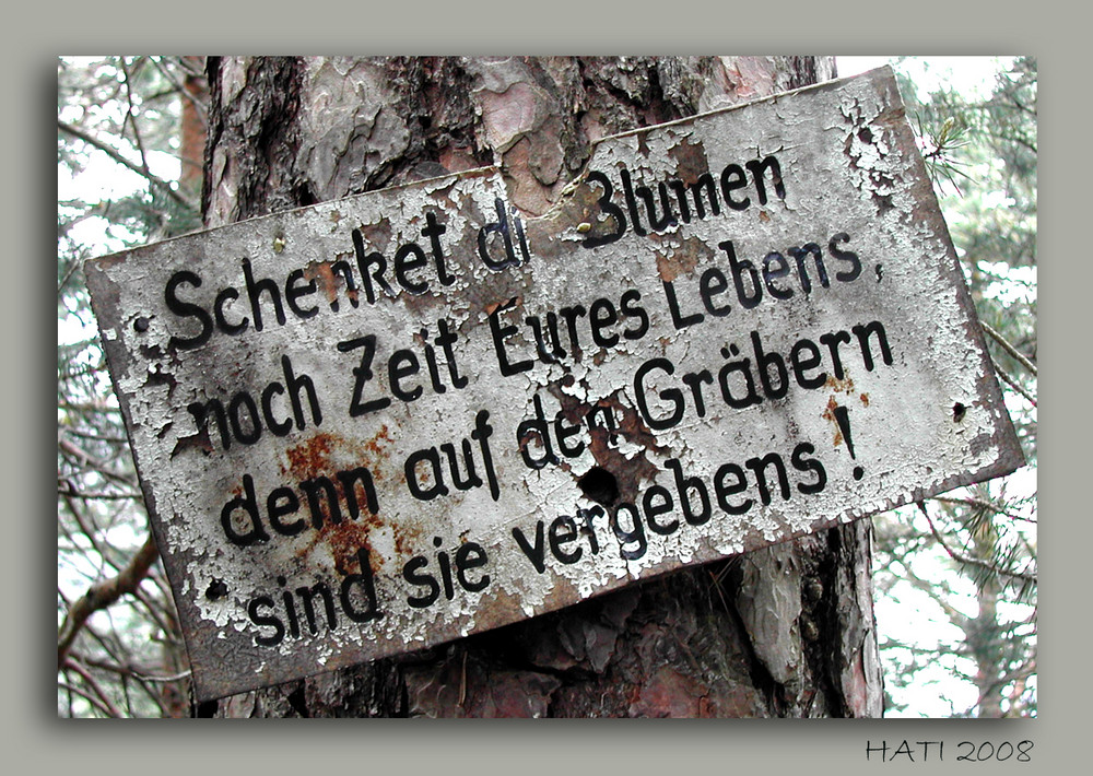 ein spruch im wald.... Foto & Bild kunstfotografie & kultur, allerlei