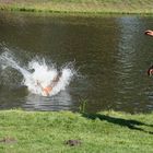 Ein Sprung ins kühle Wasser