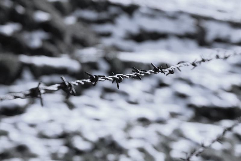 Ein Stachel des Drahtes