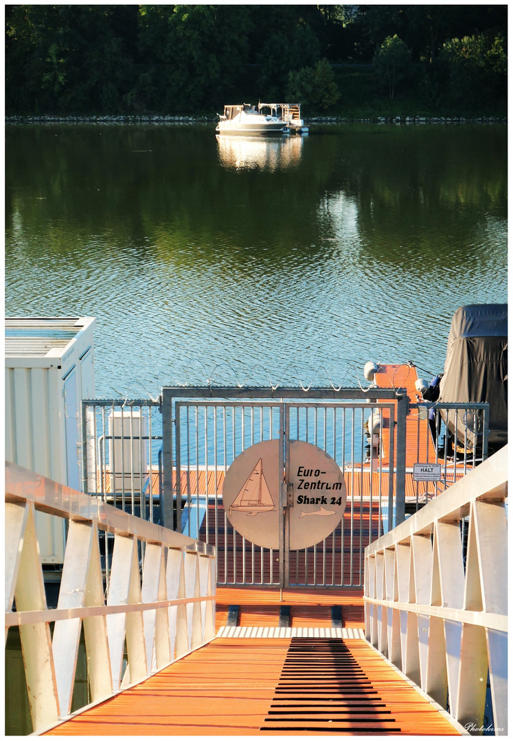 Ein Steg am Schiersteier Bootshafen 