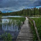 Ein Steg an einem kleinen See in Schweden.