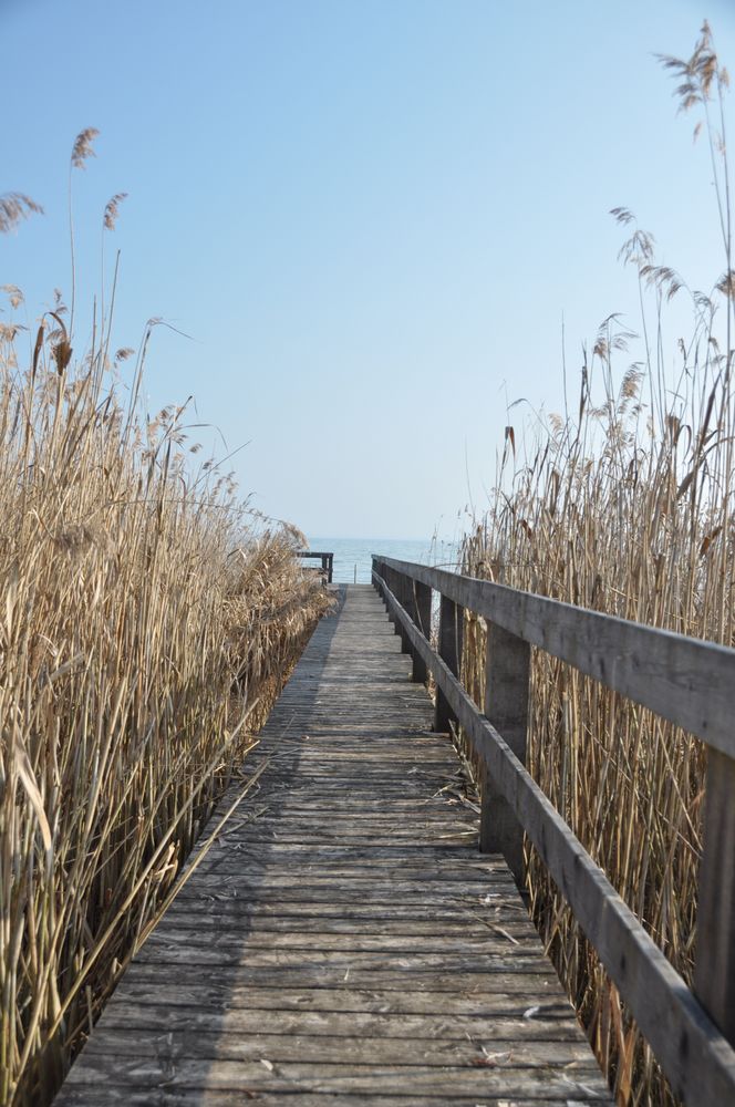 Ein Steg des Bodensees