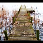 Ein Steg ins Steinhuder Meer