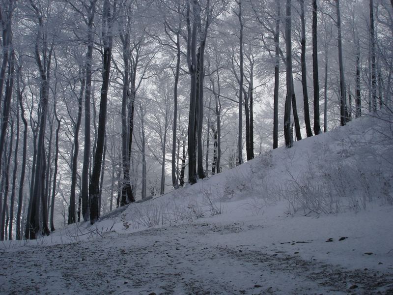 ein steiler Weg