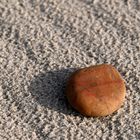 Ein Stein am Strand
