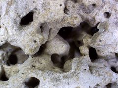 Ein Stein mit geheimnisvollen Höhlenlabyrint.