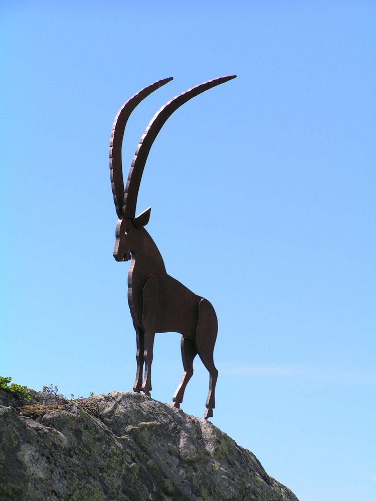 Ein Steinbock auf'm Steinblock