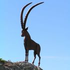 Ein Steinbock auf'm Steinblock