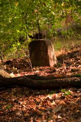 Ein Steinchen steht im Wald...