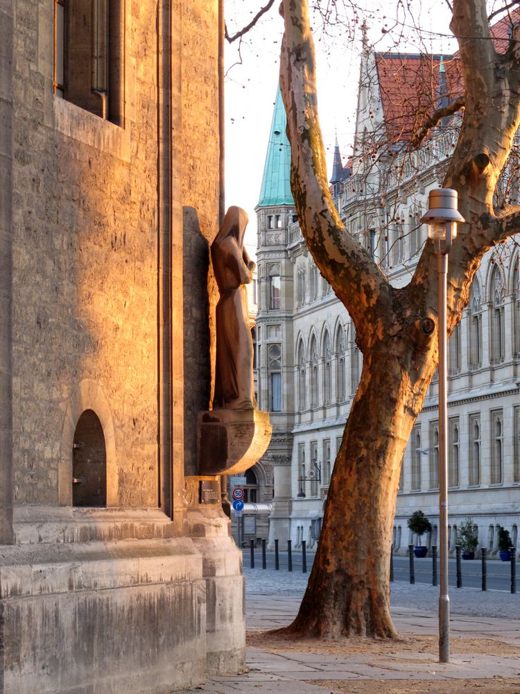 Ein steinerner Domwächter in der Morgensonne